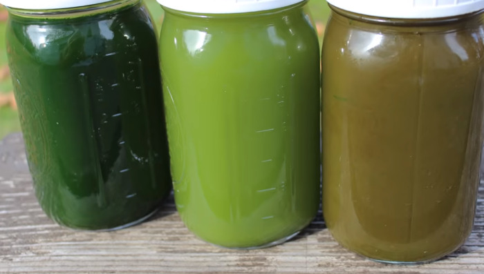 green juice in container
