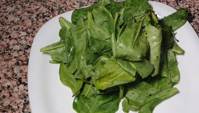 Spinach leaves in plate