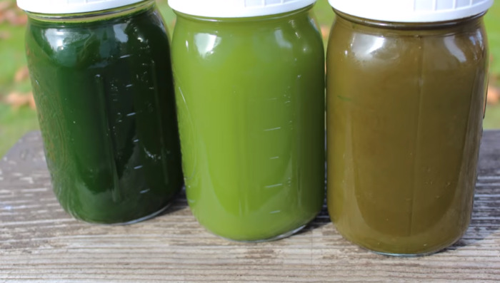 storing juice in glass jars